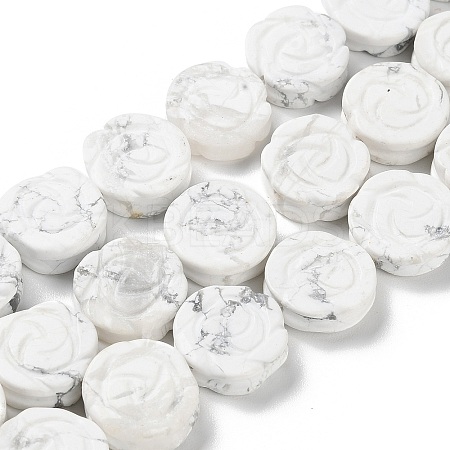 Natural Howlite Beads Strands G-B065-B15-1