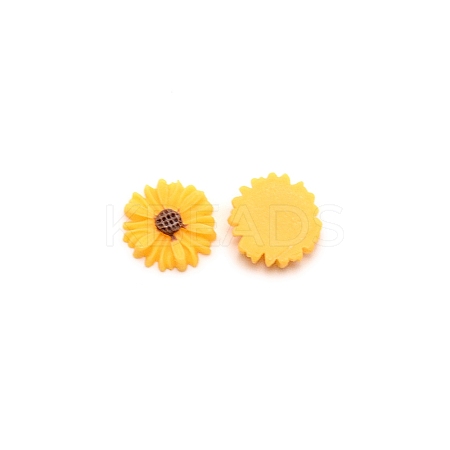 Opaque Resin Cabochons LS-RESI-CJC0011-04A-08-1