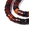 Dyed Natural Agate Beads Strands G-T144-55A-01-3
