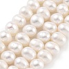 Natural Cultured Freshwater Pearl Beads Strands PEAR-C003-16C-2