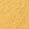 MIYUKI Round Rocailles Beads SEED-X0055-RR0202-3