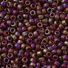 TOHO Round Seed Beads SEED-JPTR15-2639F-2