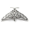 Moon Phase Moth Alloy Brooch Pin JEWB-Z031-06AS-2