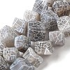Natural Weathered Agate Beads Strands G-Q169-C04-01A-1