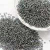 6/0 Transparent Glass Round Seed Beads X-SEED-J010-F6-40-1
