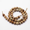 Natural Picture Jasper Beads Strands G-G736-27-6mm-2