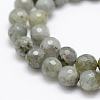 Natural Labradorite Beads Strands G-P322-28-8mm-3