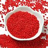 Baking Paint Glass Seed Beads SEED-P006-03A-10-2