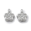 304 Stainless Steel Micro Pave Cubic Zirconia Charms STAS-Z121-46P-1