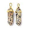 Natural Dalmatian Jasper Pointed Pendants G-G025-01G-33-2
