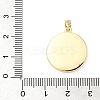 Brass Enamel Pendants KK-D358-01C-G-3