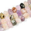 Natural Amethyst & Prehnite & Yellow Quartz & Lemon Quartz & Rose Quartz Beads Strands G-N347-18A-05-2
