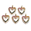 316 Surgical Stainless Steel Charms LS-STAS-N097-006-1
