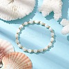 Round Natural Sea Shell Beaded Stretch Bracelets with Brass Beads for Women Men BJEW-JB10278-4