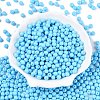 Opaque Baking Paint Glass Beads DGLA-T004-02Q-1