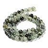 Natural Prehnite Beads Strands G-P322-48-6mm-01-2