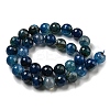 Faceted Natural Dragon Veins Agate Beads Strands G-F447-12mm-L06-3
