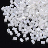 8/0 Two Cut Glass Seed Beads SEED-S033-14A-01-2