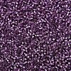MIYUKI Delica Beads SEED-J020-DB2169-3