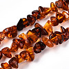 Natural Amber Beads Strands G-T138-235D-1