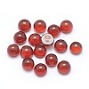 Natural Carnelian Cabochons X-G-P393-R03-4mm-1