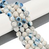 Natural Blue Ice Glacierite Stone Beads Strands G-B092-A01-03-2