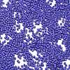 Baking Paint Glass Seed Beads SEED-S042-05B-74-3