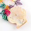 Dyed Seashell Aeolian Bells AJEW-Q108-01-5