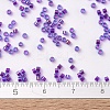MIYUKI Delica Beads SEED-JP0008-DB1755-4