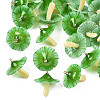Plastic Pendants KY-N015-118C-02-1