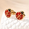 Ladybug 304 Stainless Steel Stud Earrings for Women EJEW-K243-15G-1