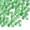 Transparent Acrylic Beads MACR-S373-70-B02-1