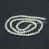 Natural White Moonstone Beads Strands G-P342-02A-4mm-AA-2