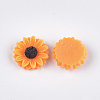 Resin Cabochons CRES-T010-60-3