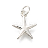 925 Sterling Silver Charms STER-Q003-01C-S-1