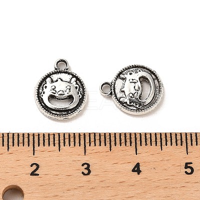 Tibetan Style Alloy Charmss FIND-C043-037AS-1
