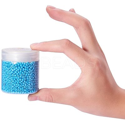 8/0 Round Glass Seed Beads SEED-PH0005-05-1