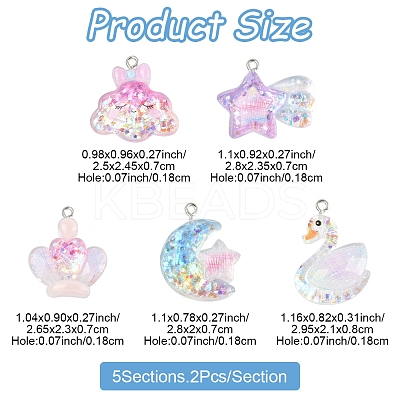 10Pcs 5 Styles Transparent Resin Pendants RESI-FS0002-08-1
