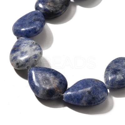 Natural Blue Spot Jasper Beads Strands G-P561-B06-01-1