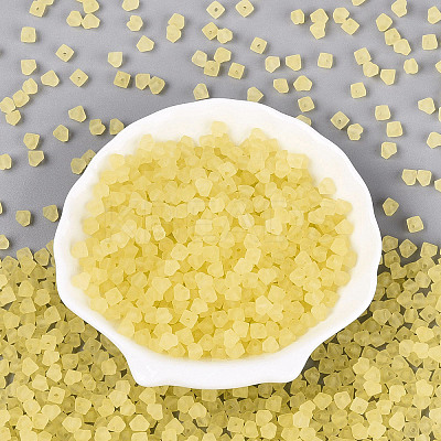 FGB Frosted Transparent Glass Seed Beads SEED-N013-03A-02-1