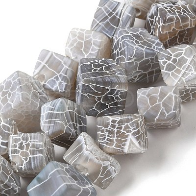 Natural Weathered Agate Beads Strands G-Q169-C04-01A-1