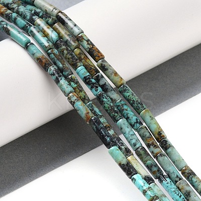 Natural African Turquoise(Jasper) Beads Strands G-D464-52-1