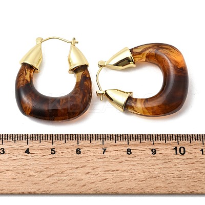 Brass Resin Hoop Earrings EJEW-P333-11D-G02-1