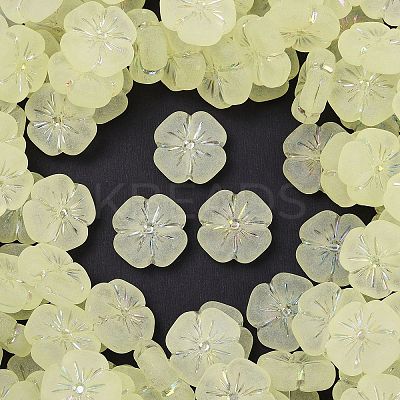 Frosted Transparent Acrylic Beads X1-OACR-P029-19B-03-1