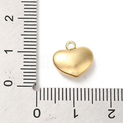 304 Stainless Steel Charms STAS-L022-278G-1