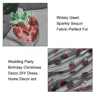 Mesh Embroidered Lace Trim OCOR-WH0073-34B-1