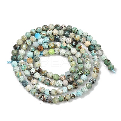 Natural HuBei Turquoise Beads Strands LS-G-L628-B02-3mm-01-1