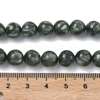 Natural Seraphinite Beads Strands G-C270-O01-07-1