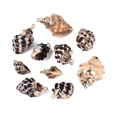 Electroplate Natural Spiral Shell Pendants SSHEL-Q100-46G-1