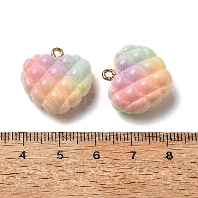 Rainbow Color Opaque Resin Waffle Beads Pendants RESI-F035-01-1